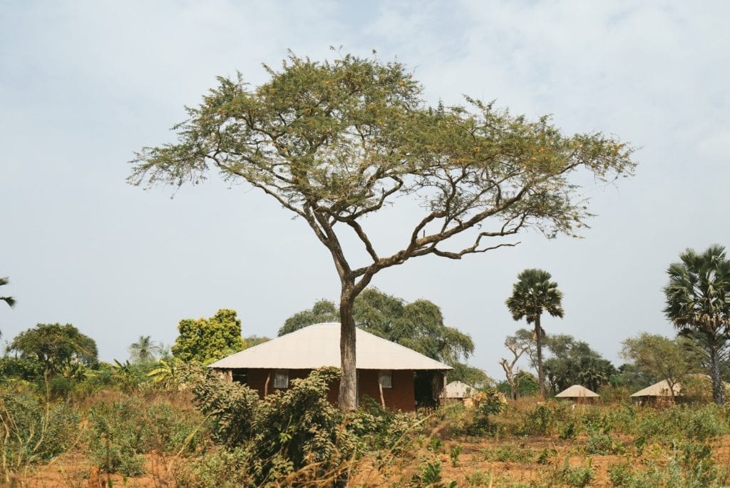 Guinea-Bissau